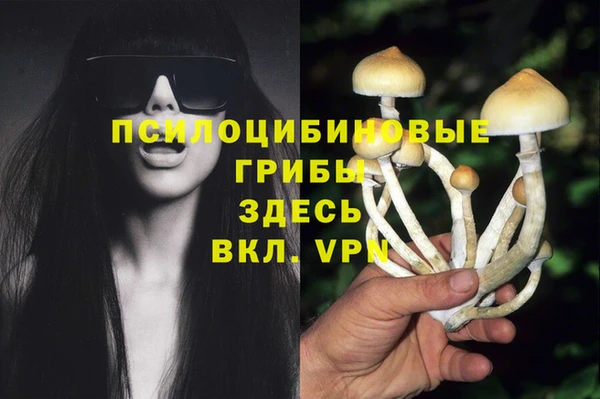 синтетический гашиш Верхний Тагил