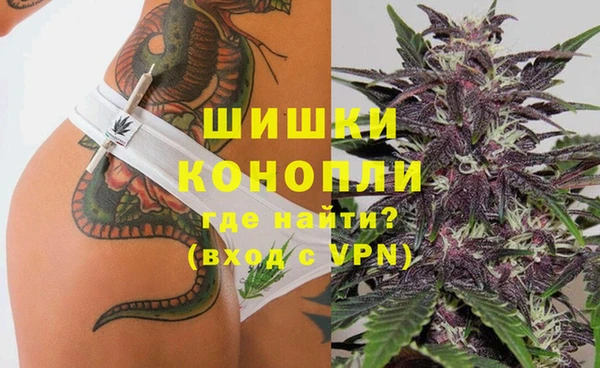 крисы Верея